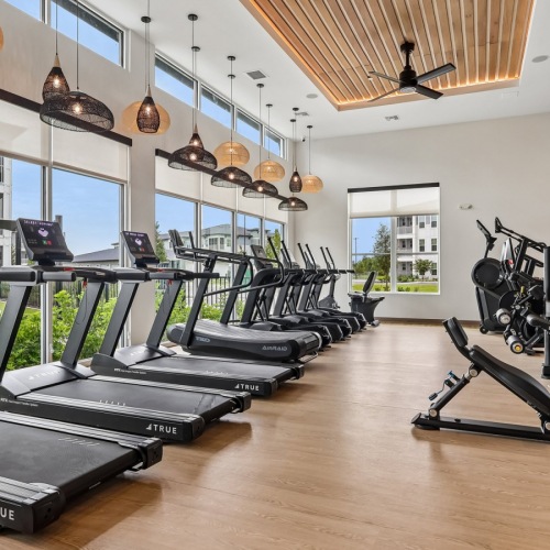 Cardio Machines